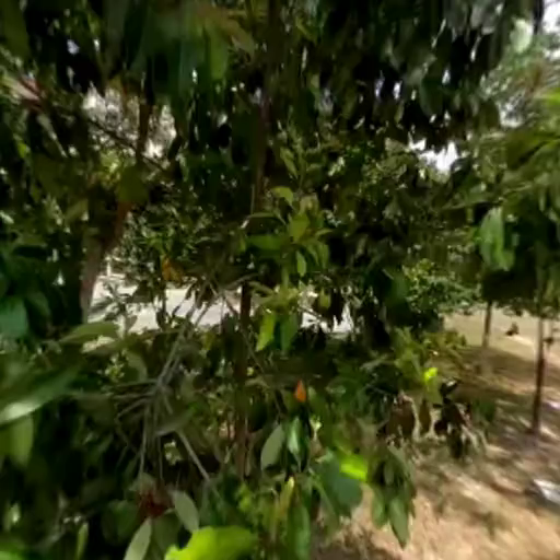 A sunny park with a blue outdoor gym, green trees, and a path leading to distant city skyscrapers